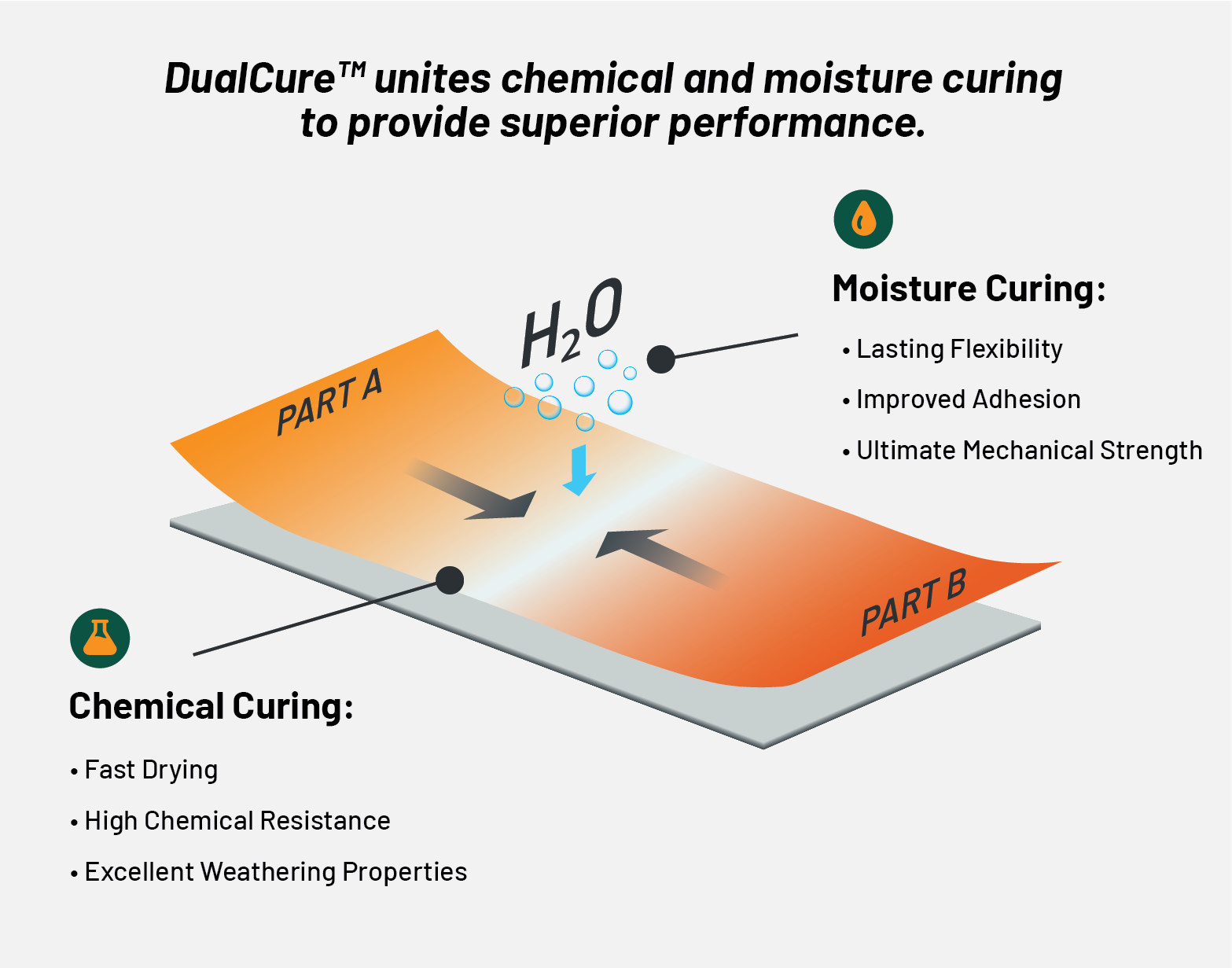 DualCure Graphic