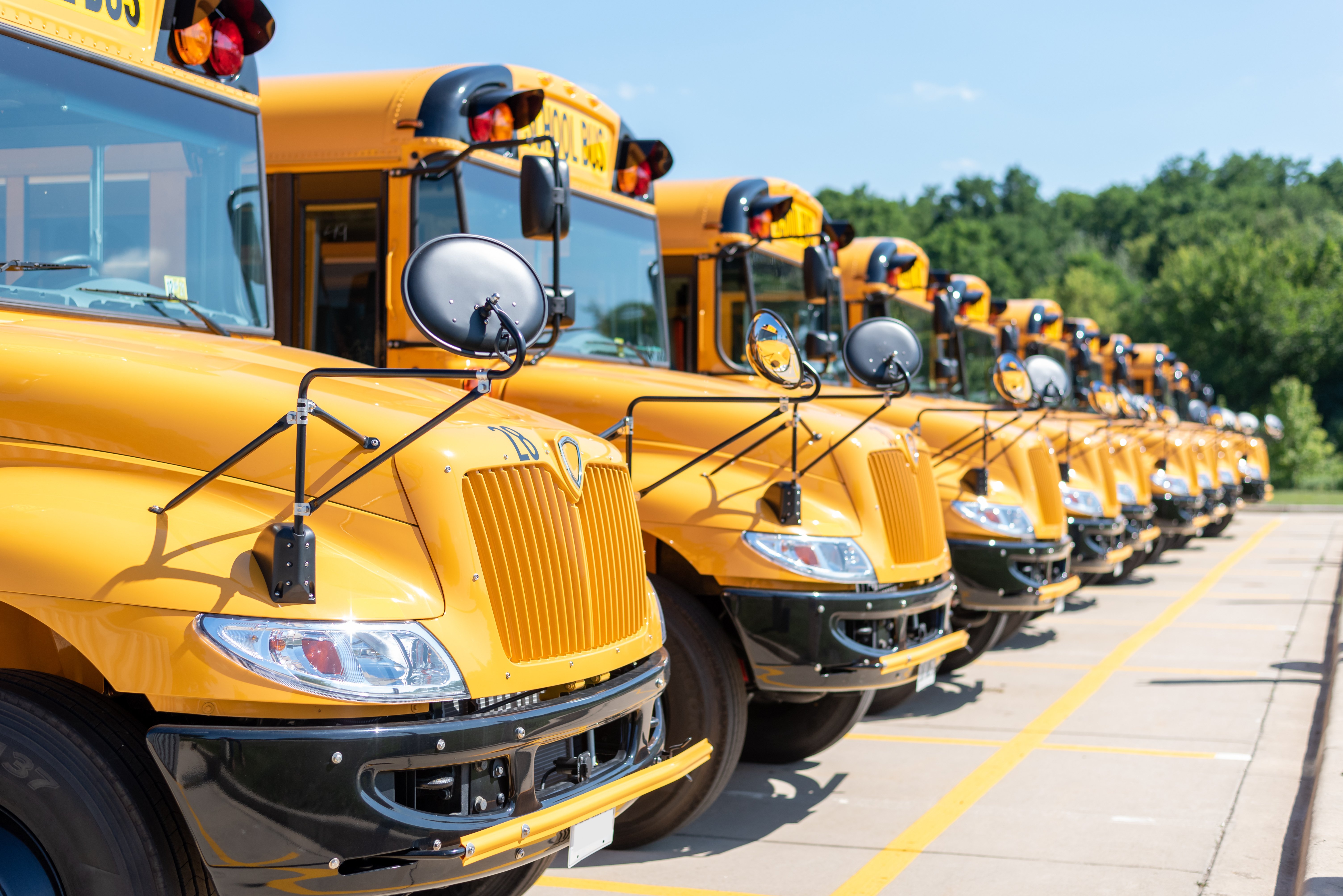Yellow Bus Fleet